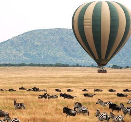 Baloon Safaris