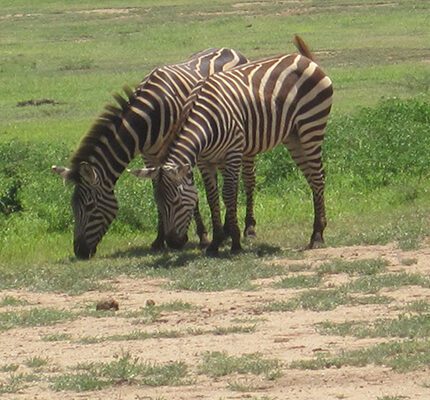 23-Day Kilimanjaro, Big Five and Kite Surf Adventure!