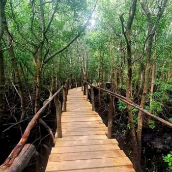 WhatsApp Image 2022-03-27 at 6.40.55 AM