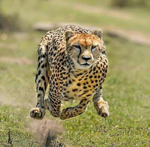 FB_IMG_1624348978602