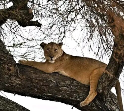 WhatsApp Image 2022-04-03 at 6.33.27 AM