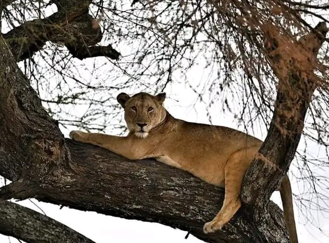 WhatsApp Image 2022-04-03 at 6.33.27 AM