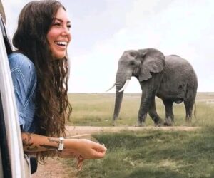 WhatsApp Image 2022-04-03 at 9.33.41 AM