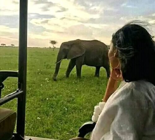 WhatsApp Image 2022-04-09 at 9.46.31 AM