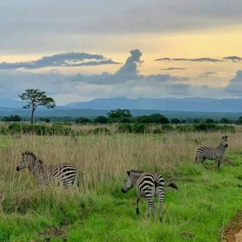 WhatsApp Image 2022-04-11 at 8.01.09 AM