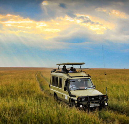 kenya-4337707_1280 copy